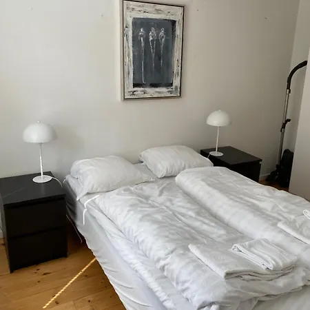Viborggade København